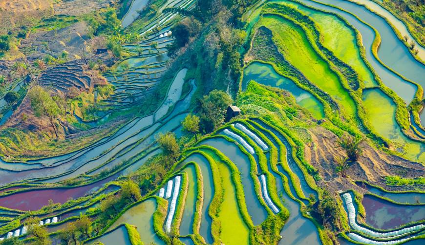 2026东宁县产品视频拍摄趋势：品效合一的内容创作新方向